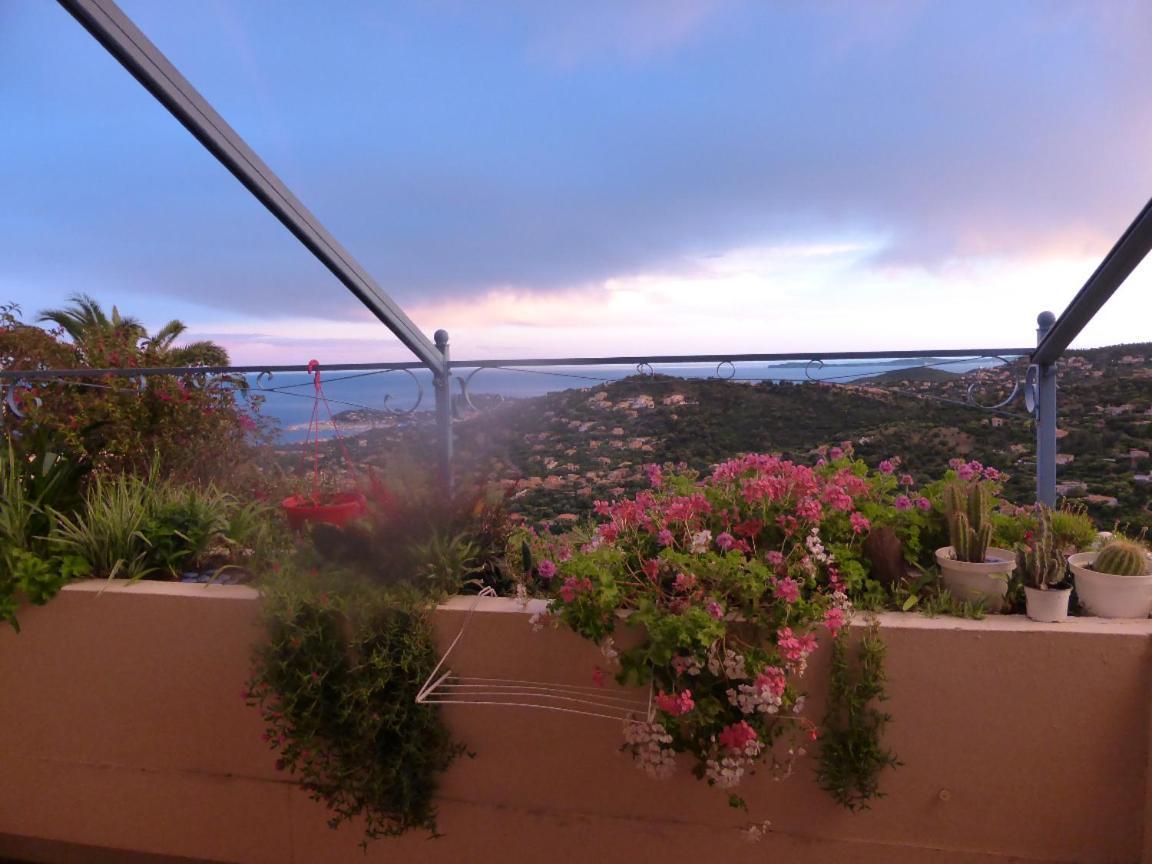 Nouveau ! Chambre D'Hote Insolite Privee " Coeurs De Pirates A Bali En Provence" Spa Sauna Massages Dans Cadre Exotique D'Amenagements Exterieurs D'Exception Ete Comme Hiver Bienvenue !!! Cavalaire-sur-Mer Εξωτερικό φωτογραφία
