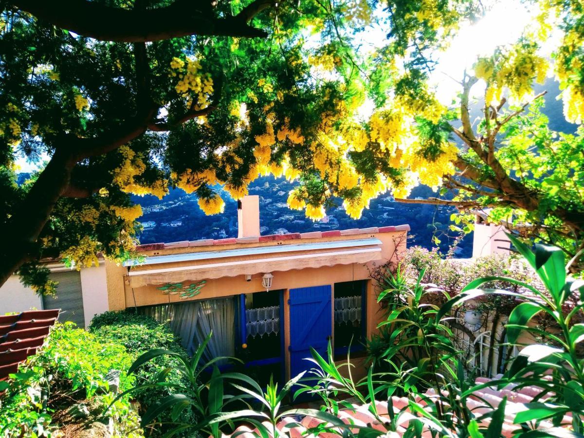 Nouveau ! Chambre D'Hote Insolite Privee " Coeurs De Pirates A Bali En Provence" Spa Sauna Massages Dans Cadre Exotique D'Amenagements Exterieurs D'Exception Ete Comme Hiver Bienvenue !!! Cavalaire-sur-Mer Εξωτερικό φωτογραφία